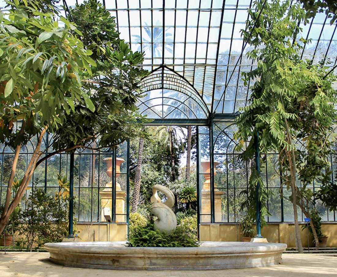 La grande serra dell'Orto Botanico di Palermo